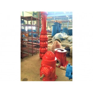 Vertical turbine pump - Fire Pump